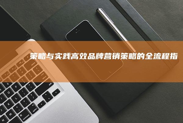 策略与实践：高效品牌营销策略的全流程指南